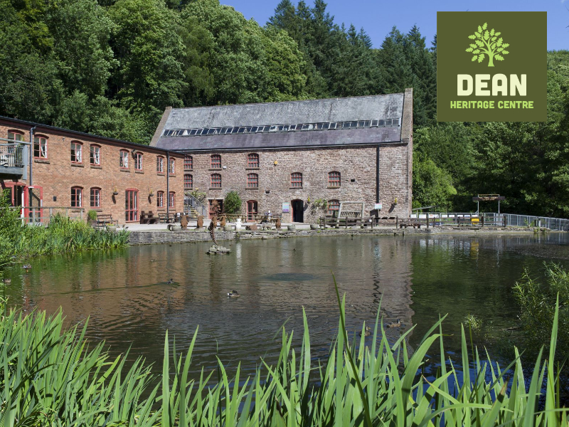 Explore, Experience and Enjoy the Forest of Dean
