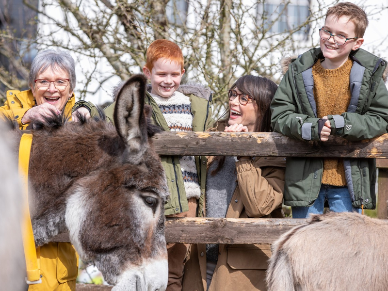 Meet These Friendly Furry Faces in Sidmouth