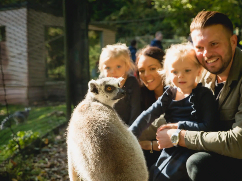 A Wild Day Out For The Whole Family