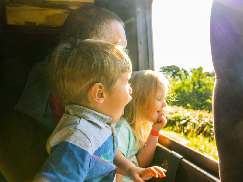 Steam Train Journeys Through the Stunning Devon Countryside