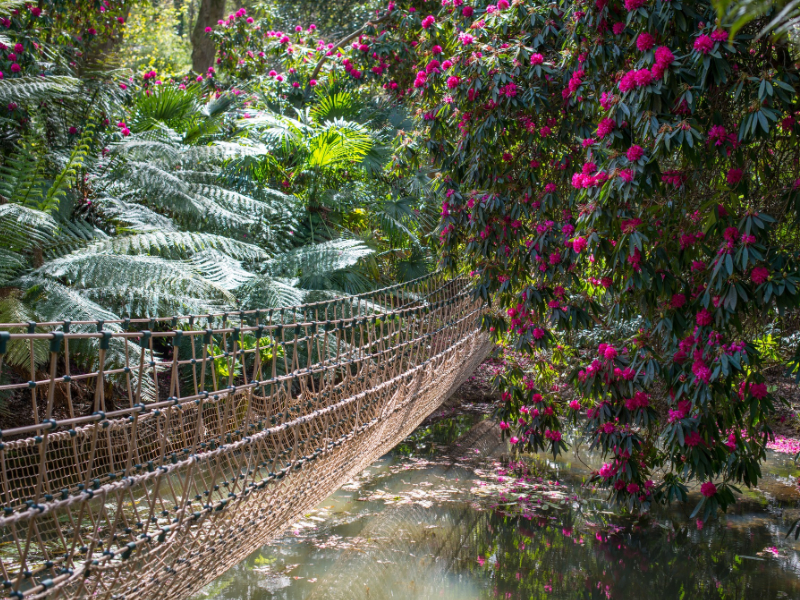 Explore One of Britain's Best-loved Gardens 