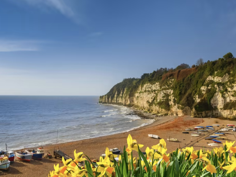 Find Fantastic Inspiration for Your Trip to Devon