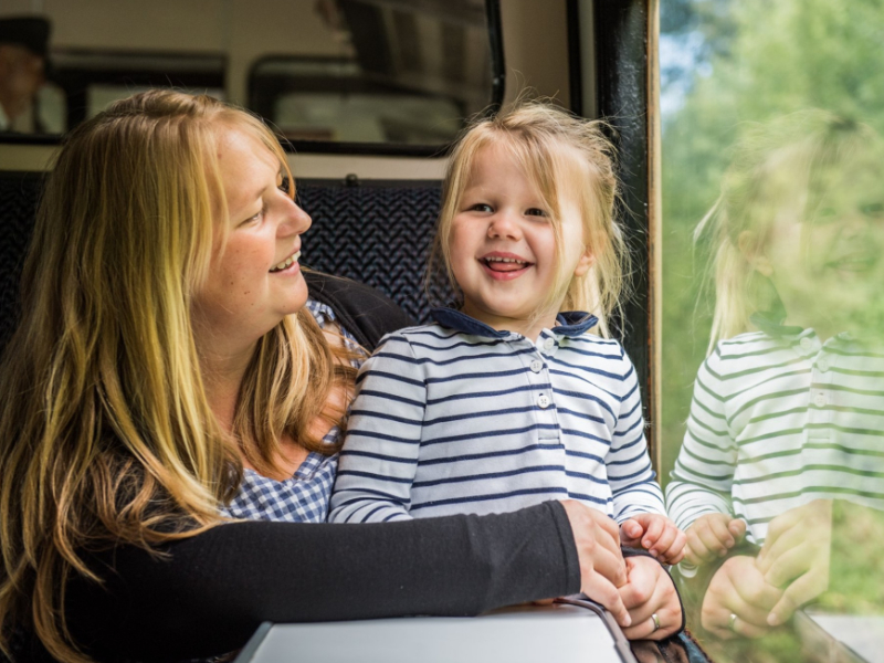 Historic Steam Railway Journeys in Somerset 